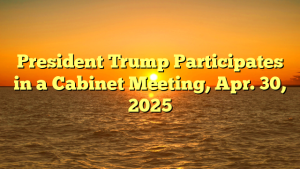 President Trump Participates in a Cabinet Meeting, Apr. 30, 2025