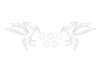 LOGO-WelineTimes-2024-10-07-1-1